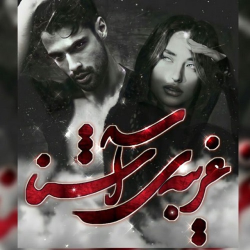 دانلود رمان غریبه ی آشنا pdf از مطهره.م دانلود رمان غریبه ی آشنا pdf از مطهره.م