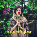 دانلود رمان بهار که بیاید pdf از فاطمه ایمانی دانلود رمان بهار که بیاید pdf از فاطمه ایمانی