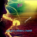 دانلود رمان قاصدک زمستان را خبر کرد pdf از سپیده فرهادی دانلود رمان قاصدک زمستان را خبر کرد pdf از سپیده فرهادی