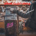 دانلود رمان چمدان آخرین مسافر pdf از آرزو طهماسبی