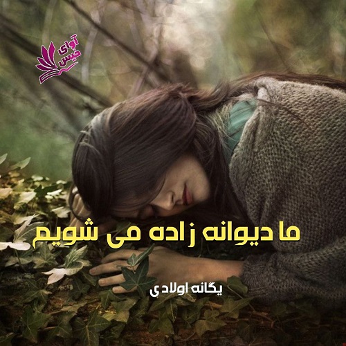 دانلود رمان ما دیوانه زاده می شویم pdf از یگانه اولادی دانلود رمان ما دیوانه زاده می شویم pdf از یگانه اولادی
