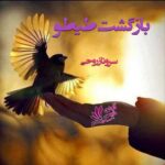 دانلود رمان برگشت تیتو pdf از سرو ناز روحی