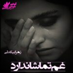 دانلود رمان غم تماشا ندارد pdf از زهرا بیگدلی