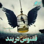 دانلود رمان ققنوس در بند pdf از محدثه کمالی دانلود رمان ققنوس در بند pdf از محدثه کمالی