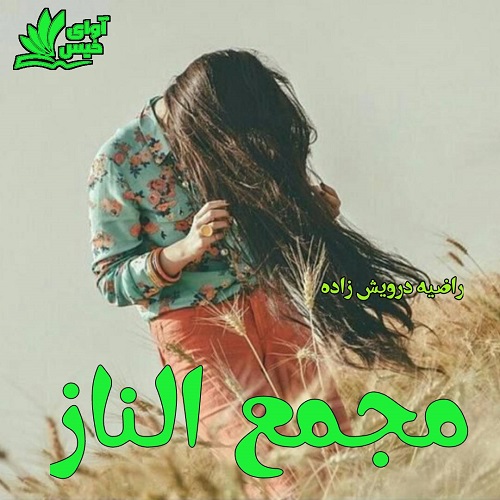 دانلود فایل رایگان مجمع الناز pdf دانلود فایل رایگان مجمع الناز pdf