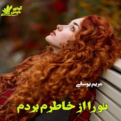 دانلود رمان تو را از خاطرم بردم pdf با لینک مستقیم دانلود رمان تو را از خاطرم بردم pdf با لینک مستقیم