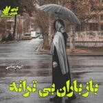 دانلود رمان باز باران بی ترانه pdf از الهه رضایی دانلود رمان باز باران بی ترانه pdf از الهه رضایی