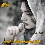 دانلود رمان عشق واسه پولداراست pdf از الهه رضایی دانلود رمان عشق واسه پولداراست pdf از الهه رضایی