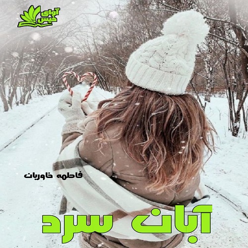 دانلود رمان آبان سرد pdf از فاطمه خاوریان