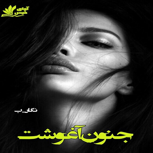 دانلود رمان جنون آغوشت pdf از نگار_ب