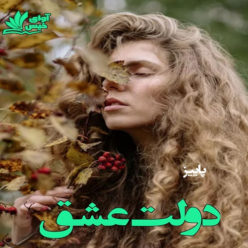 دانلود رمان دولت عشق pdf از پاییز