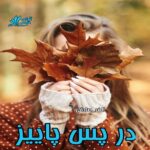 دانلود رمان در پس پاییز pdf از الف_صادقی