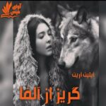 دانلود رمان گریز از آلفا (جلد دوم) pdf از آیلین آرین