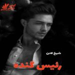 دانلود رمان رئیس گنده pdf