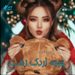 دانلود رمان جوجه اردک زشت pdf از نسیم ابراهیمی