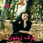 دانلود رمان برگ زیتون pdf از سارا جمشیدیان