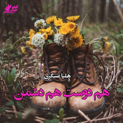 دانلود رمان هم دوست هم دشمن pdf از هلیا عسگری دانلود رمان هم دوست هم دشمن pdf از هلیا عسگری
