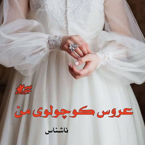 دانلود رمان عروس کوچولوی من pdf از ناشناس