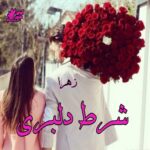 دانلود رمان شرط دلبری pdf از زهرا
