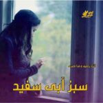 دانلود رمان سبز آبی سفید pdf از الناز پاکپور و منا معیری