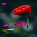 دانلود داستان کوتاه لاله سرخ pdf از حمید درکی دانلود داستان کوتاه لاله سرخ pdf از حمید درکی