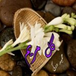 دانلود داستان کوتاه گل مریم pdf از حمید درکی