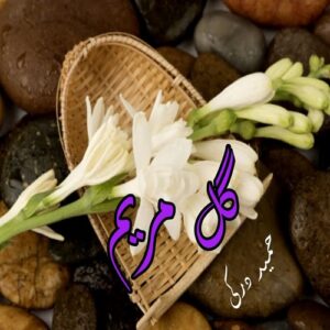 دانلود داستان کوتاه گل مریم pdf از حمید درکی