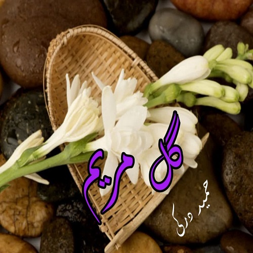 دانلود داستان کوتاه گل مریم pdf از حمید درکی