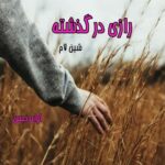 دانلود رمان رازی در گذشته pdf از شین لام