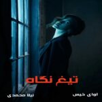 دانلود رمان تیغ نگاه pdf از نیلا محمدی