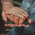 دانلود رمان پیر شدیم اما بزرگ نه pdf از هستی کیانی دانلود رمان پیر شدیم اما بزرگ نه pdf از هستی کیانی