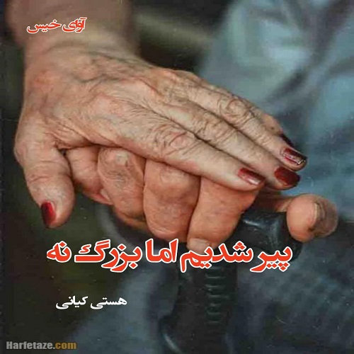 دانلود رمان پیر شدیم اما بزرگ نه pdf از هستی کیانی