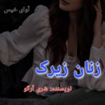 دانلود کتاب زنان زیرک pdf از شری آرگو