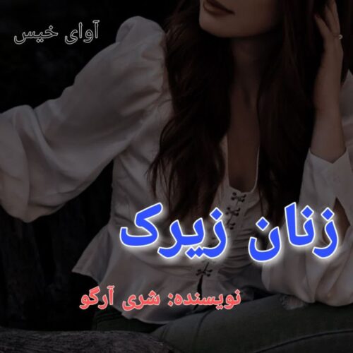 دانلود کتاب زنان زیرک pdf از شری آرگو دانلود کتاب زنان زیرک pdf از شری آرگو