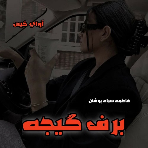 دانلود رمان برف گیجه pdf از فاطمه سیاه پوشان دانلود رمان برف گیجه pdf از فاطمه سیاه پوشان
