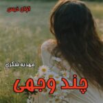 دانلود رمان چند وجهی pdf از مهدیه شکری دانلود رمان چند وجهی pdf از مهدیه شکری