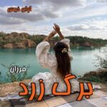 دانلود رمان برگ زرد pdf از فرزان دانلود رمان برگ زرد pdf از فرزان