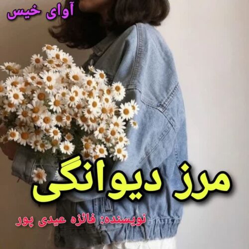 دانلود رمان مرز دیوانگی pdf فائزه عیدی پور