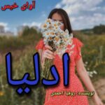 دانلود رمان ادلیا pdf روفیا احمدی دانلود رمان ادلیا pdf روفیا احمدی