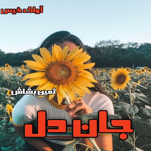 دانلود رمان جان دل pdf از ثمین بشاش دانلود رمان جان دل pdf از ثمین بشاش
