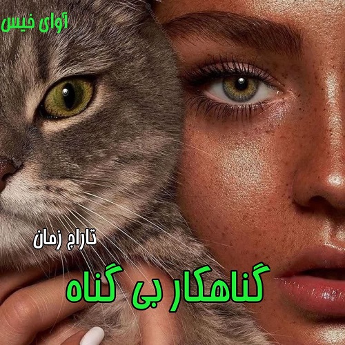 دانلود رمان گناهکار بی گناه pdf از تاراج زمان