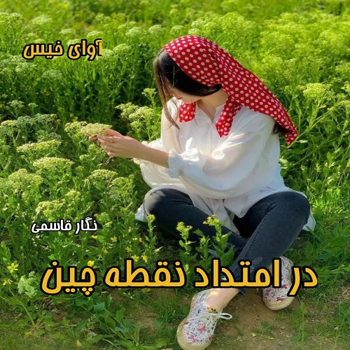 دانلود رمان در امتداد نقطه چین pdf از نگار قاسمی