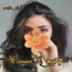 دانلود رمان جیوه سیاه pdf از رز مشکی دانلود رمان جیوه سیاه pdf از رز مشکی