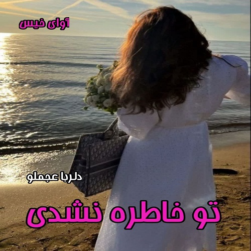 دانلود رمان تو خاطره نشدی pdf از دلربا عجملو دانلود رمان تو خاطره نشدی pdf از دلربا عجملو