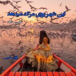 دانلود رمان این شهر بوی مرگ میدهد pdf از نگین حلاف دانلود رمان این شهر بوی مرگ میدهد pdf از نگین حلاف