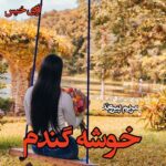 دانلود رمان خوشه گندم pdf از مریم پیروند دانلود رمان خوشه گندم pdf از مریم پیروند