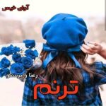 دانلود رمان ترنم pdf از رعنا و پرستو