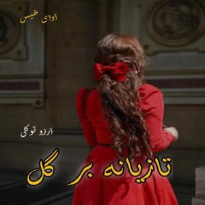 دانلود رمان تازیانه بر گل pdf از آرزو توکلی