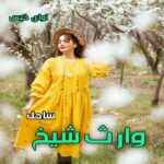 دانلود رمان وارث شیخ جلد دوم (مجموعه شیخ عثمان) pdf از ساحل