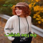 دانلود رمان چه زود گذشت pdf از فاطمه رنجبر دانلود رمان چه زود گذشت pdf از فاطمه رنجبر